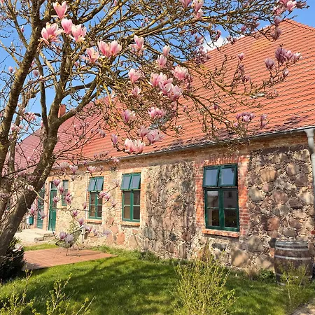 In Einem Feldsteinhaus Zwischen Ulrichshusen Und Basedow Moltzow